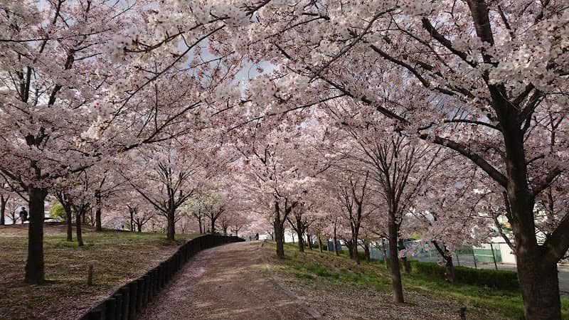 Amaminishi Park - Image 2