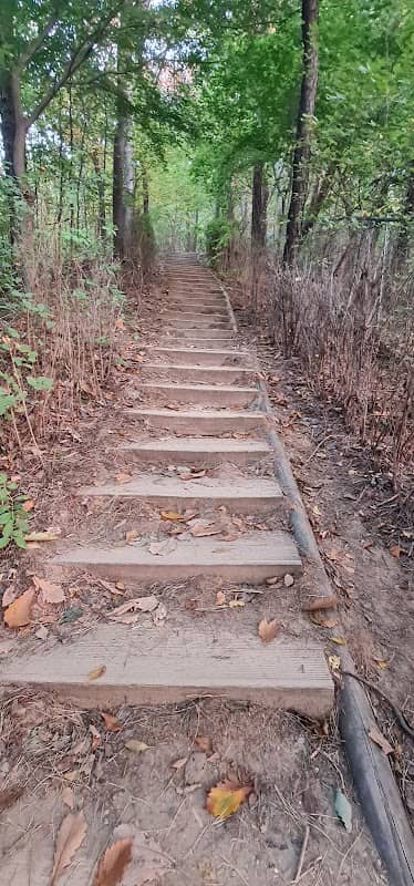 Nakseongdae Park trail - Image 2
