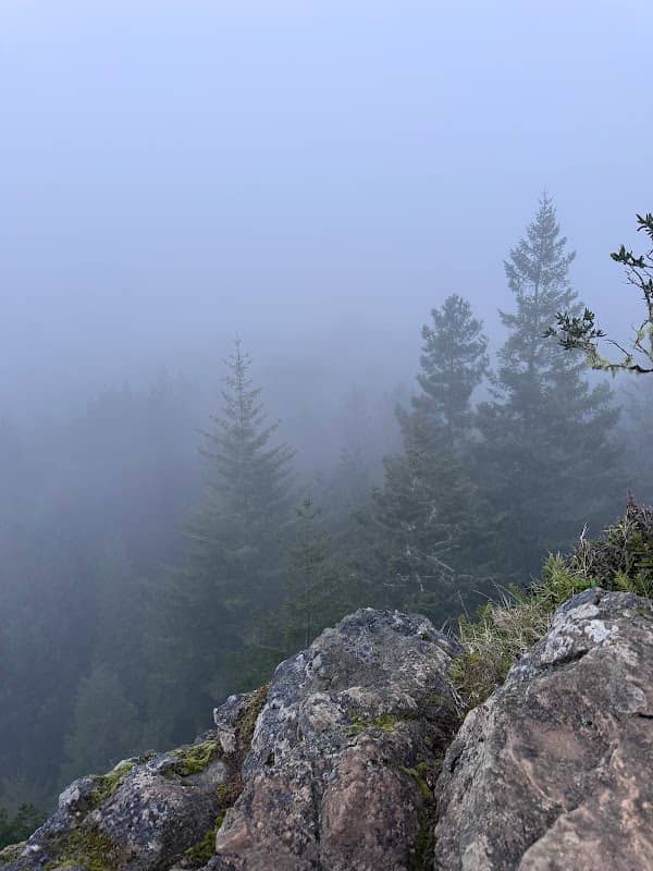 Strawberry Rock - Image 1
