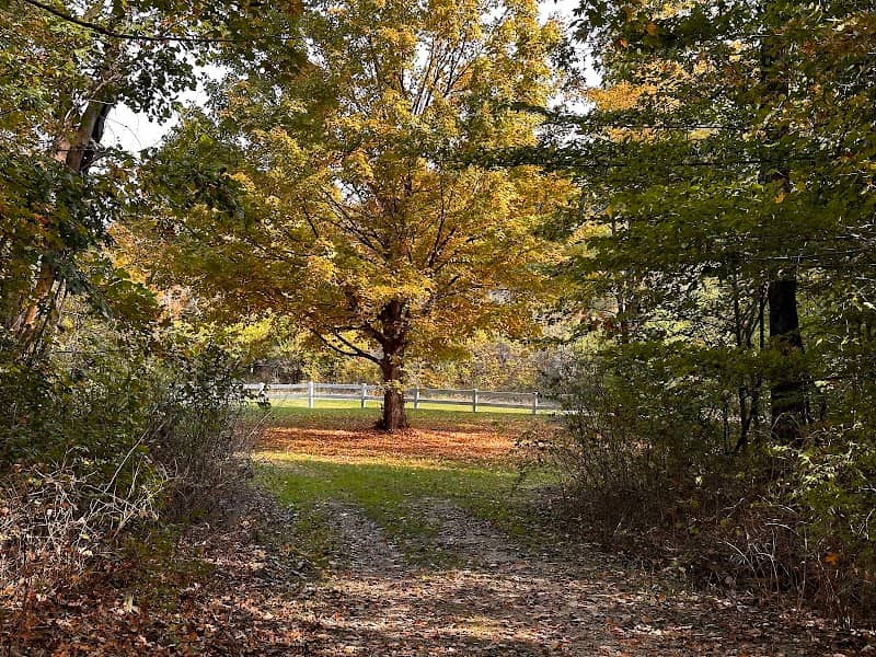 Glidewell Trailhead - Image 1