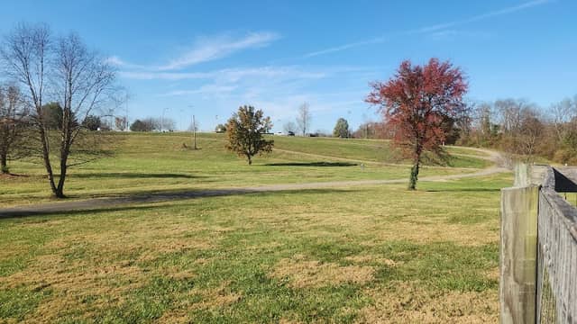 Lakeview dog park - Image 3