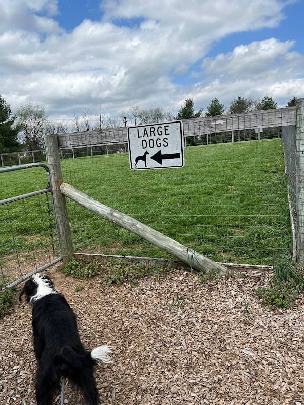Lakeview dog park - Image 1