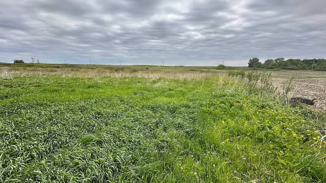 Feather Fen Wildlife Area - Image 1