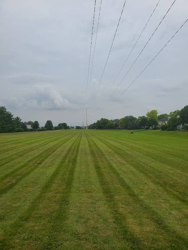 Tall Grass Greenway - Image 1