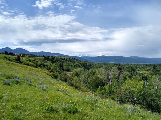 Gallagator Trail - Image 1
