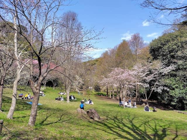 Kamakura Central Park - Image 2