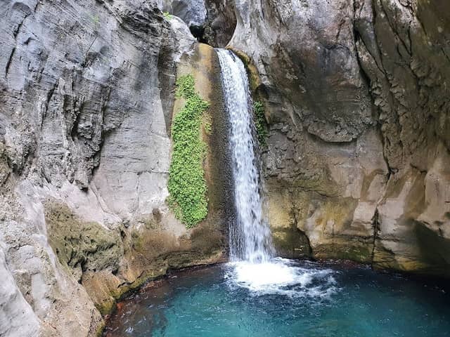 Dim River National Park - Image 1
