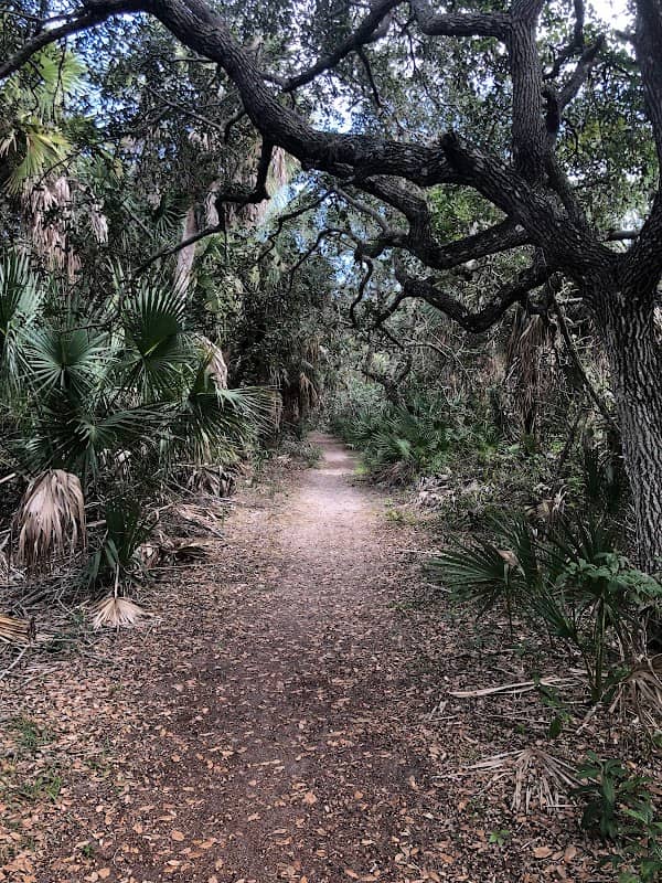 Captain Forster Hammock Preserve - Image 2
