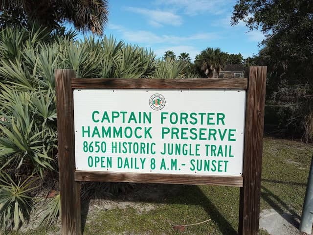 Captain Forster Hammock Preserve - Image 1