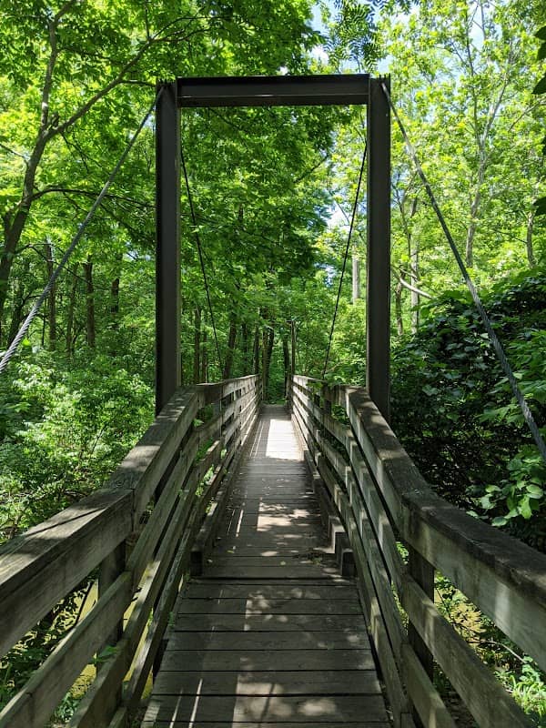 Busey Woods - Image 1