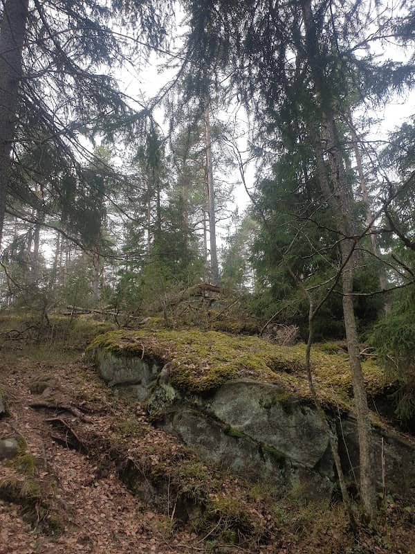 Lukukallio rock - Image 1