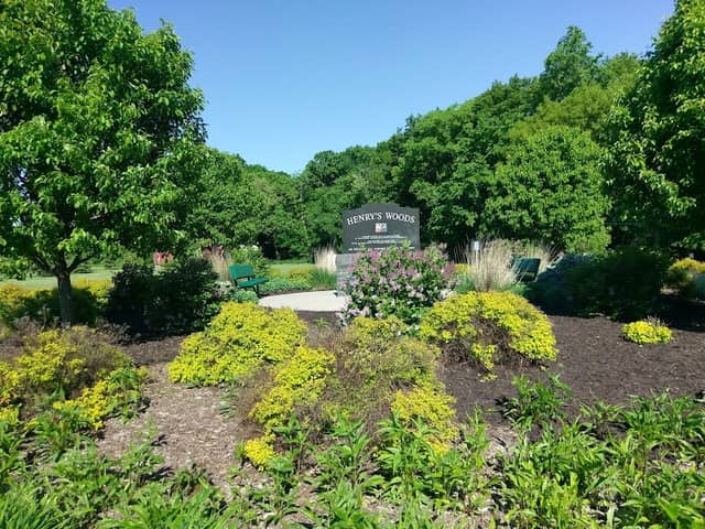 Henry's Woods Park - Image 3