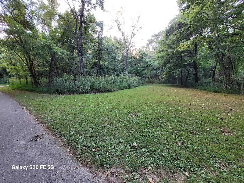 Roger Klamberg Woods - Urban Wild Acres, Ellisville MO - Image 2