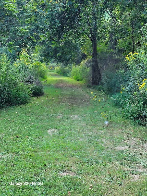 Roger Klamberg Woods - Urban Wild Acres, Ellisville MO - Image 1