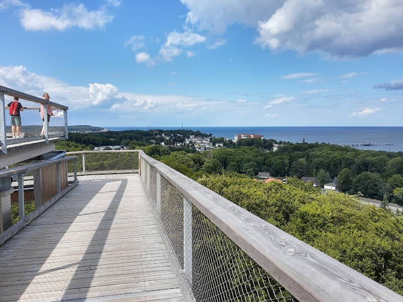 Baumwipfelpfad Usedom - Image 3