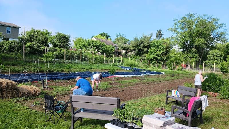 Orange County Community Gardens - Image 2