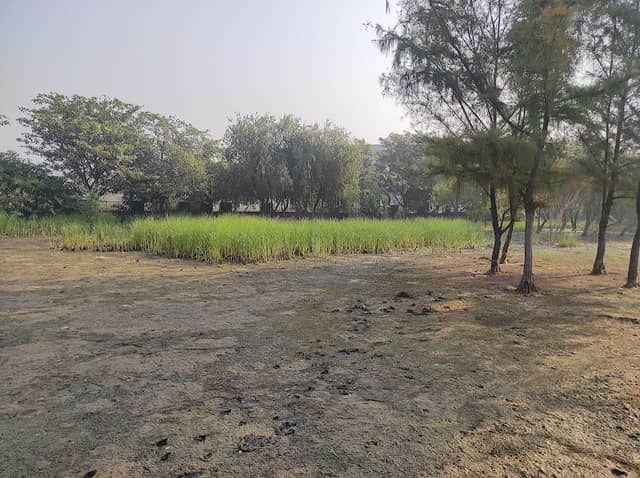 Dr. Manmohan Singh Park - Image 1