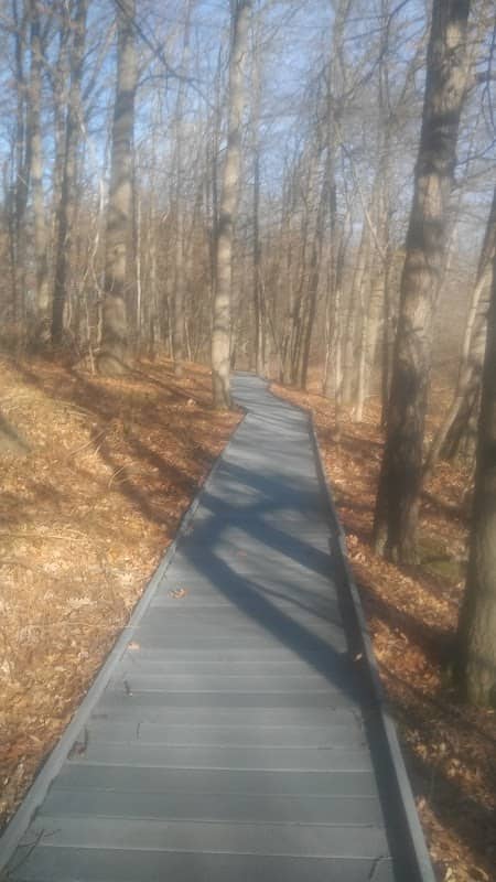 Ohio Natural Areas & Preserves - Image 1