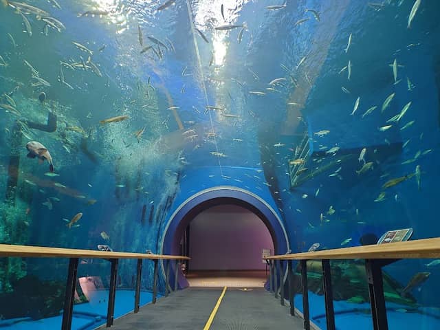 Lake Biwa Museum - Image 2