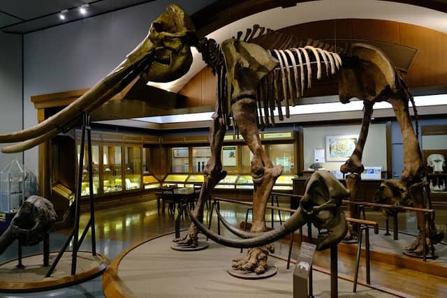 Lake Biwa Museum - Image 1