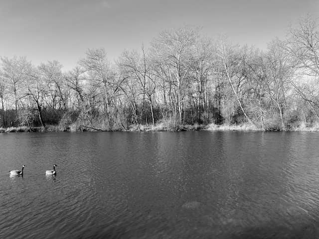 Fish Pond Park - Image 2