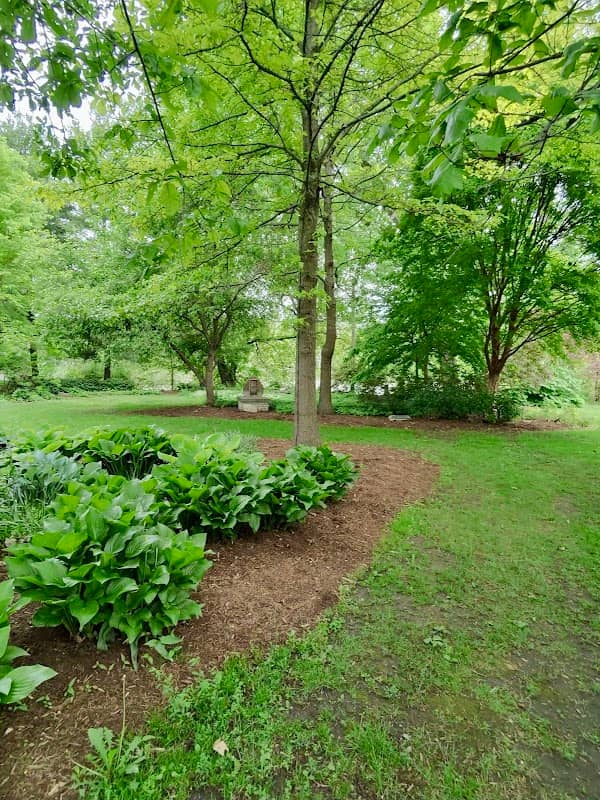 Conrad Park - Image 2