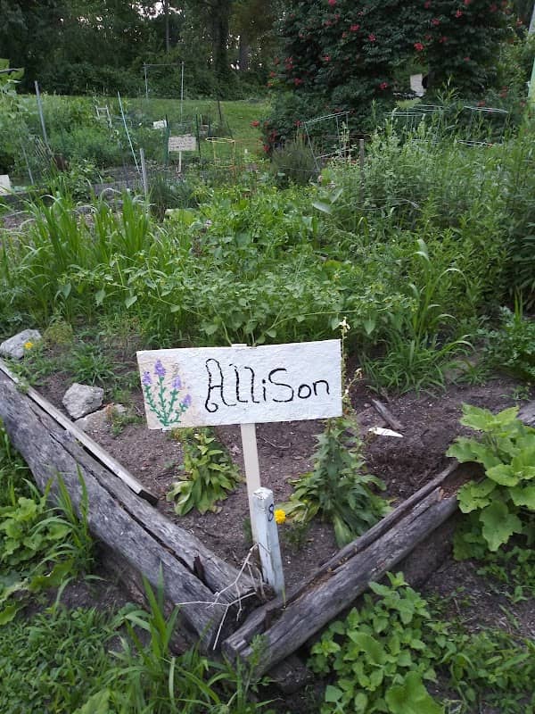 Frog Island Community Garden - Image 2