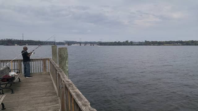 Frank J. Hutchins Memorial Park - Image 1