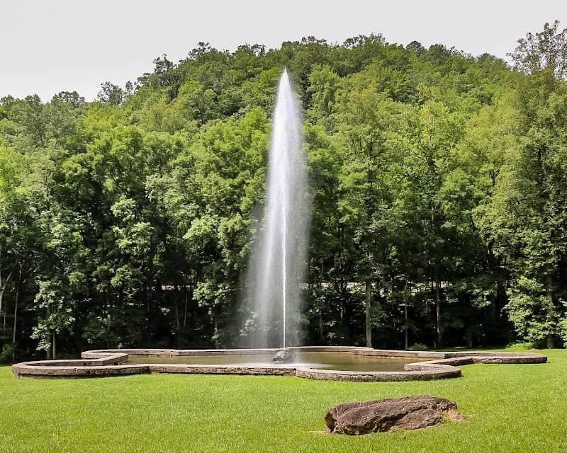 Andrews Geyser - Image 1