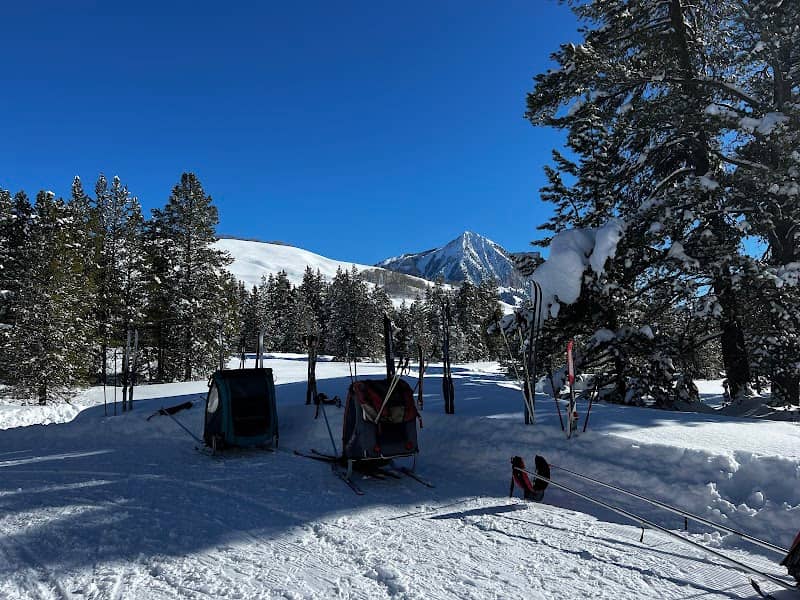 Magic Meadows Yurt - Image 1