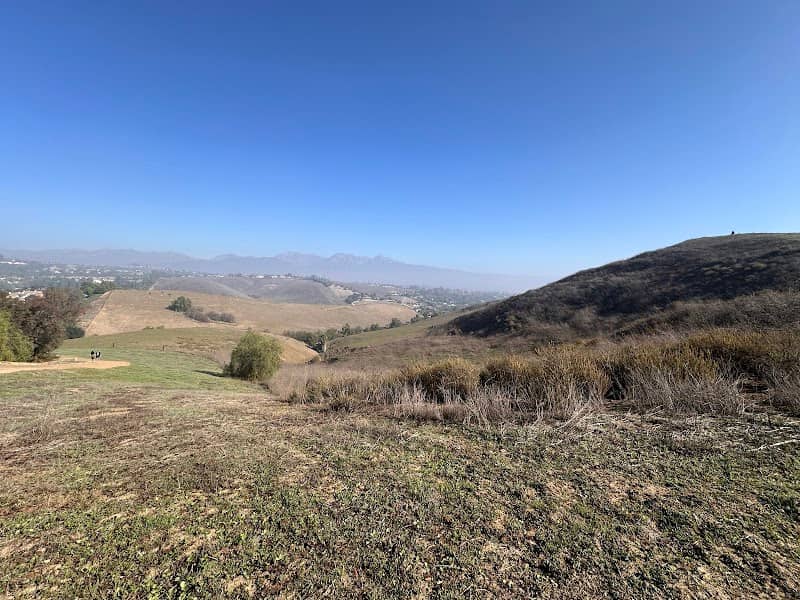Helen McCoy Loop - Image 2