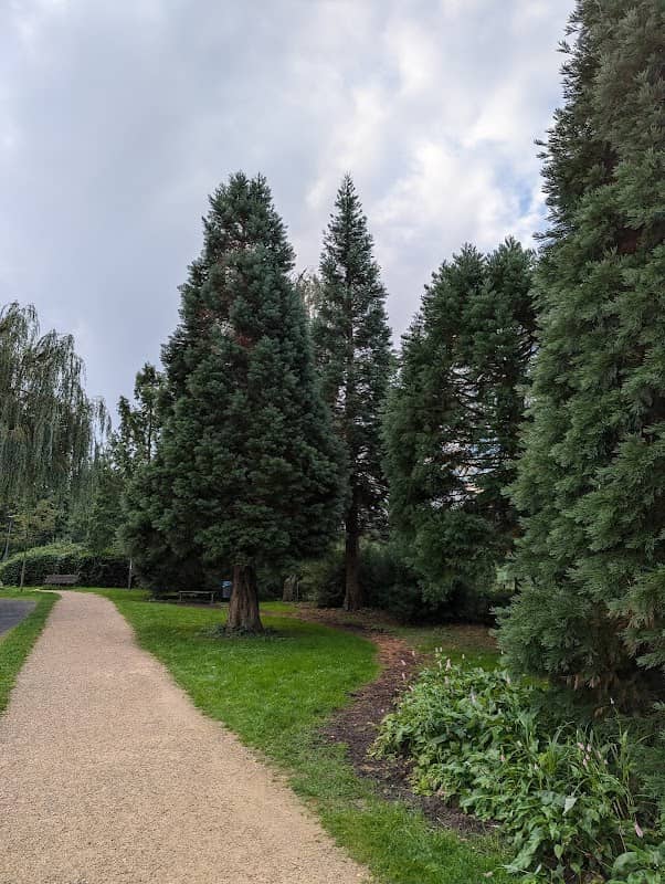 Mammutbaumwäldchen - Image 1