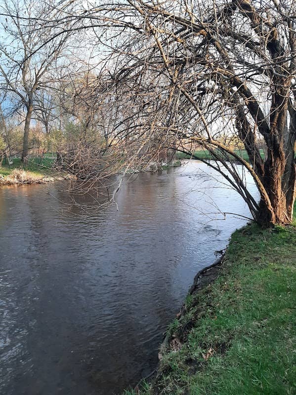 Bush Park - Image 2