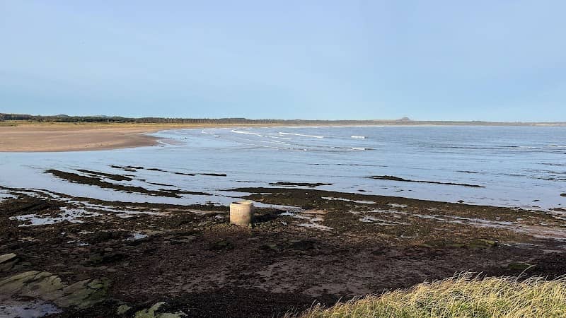 Seafield Pond - Image 2