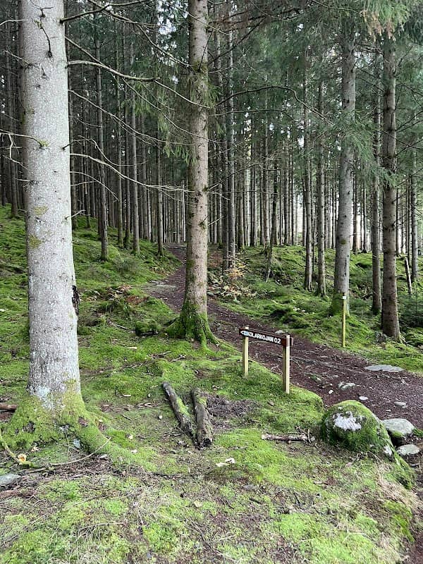 Pixboskog Utkiksplats - Image 2