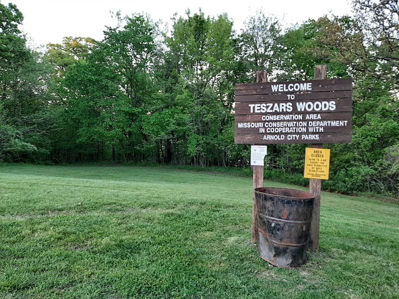 Teszars Woods Conservation Area - Image 2