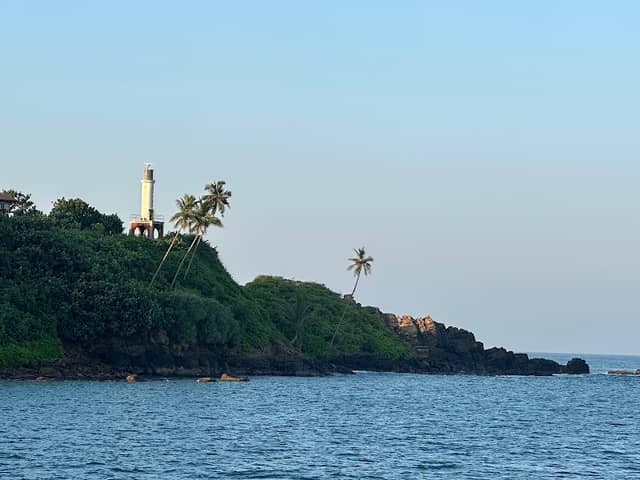 Mirissa whale Explorers - Image 1
