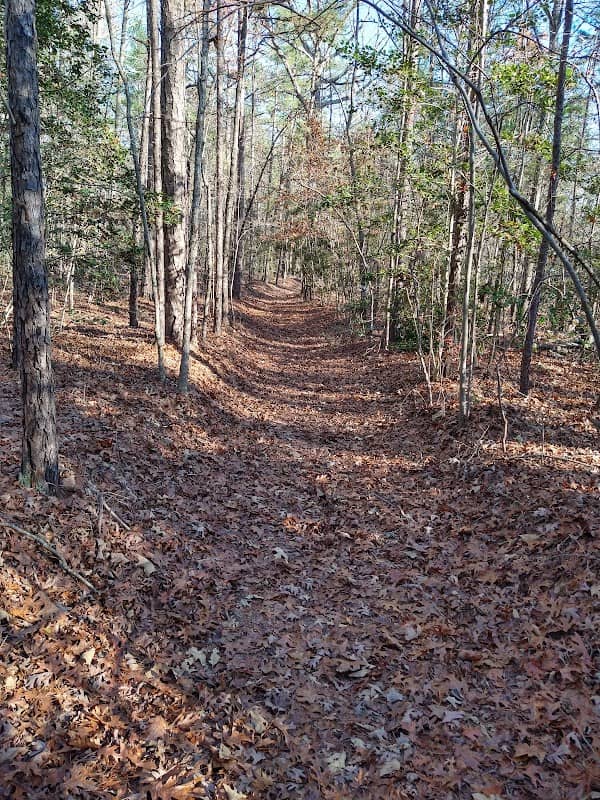 Bear Creek Trail System - Image 2