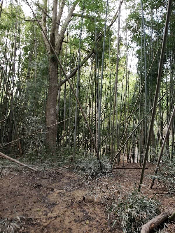 Bear Creek Trail System - Image 1