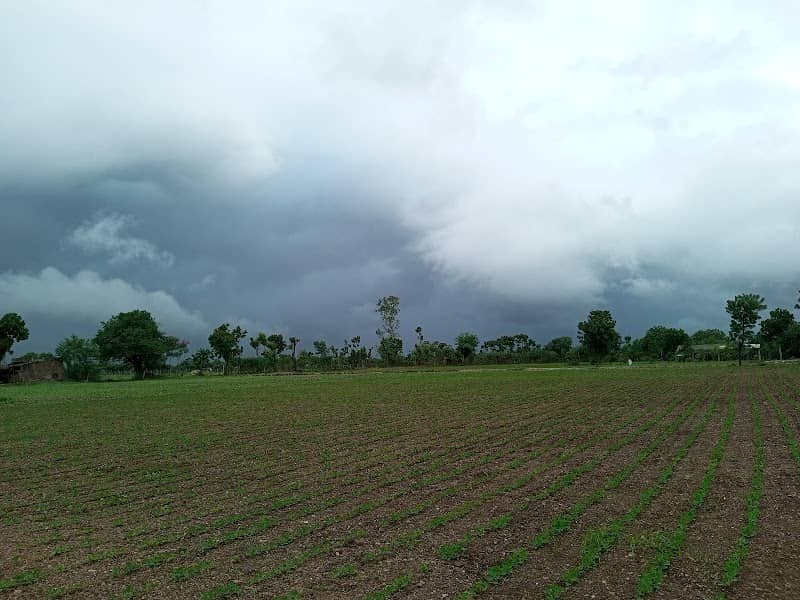 AB_venom farm - Image 1