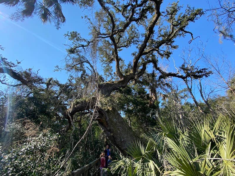 Loop Trail - Image 1