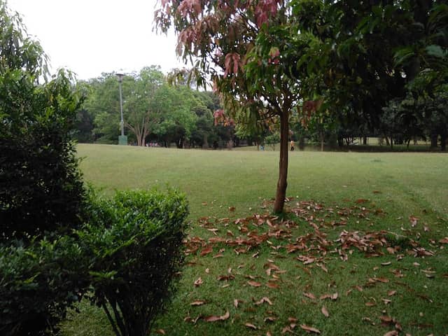 Biju Patnaik Park - Image 2