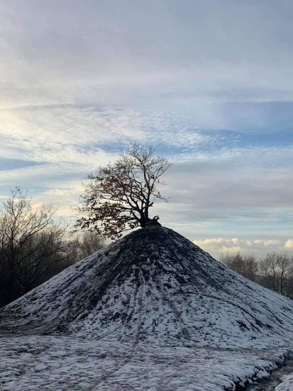 One Tree Hill - Image 1