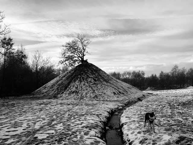 One Tree Hill - Image 2