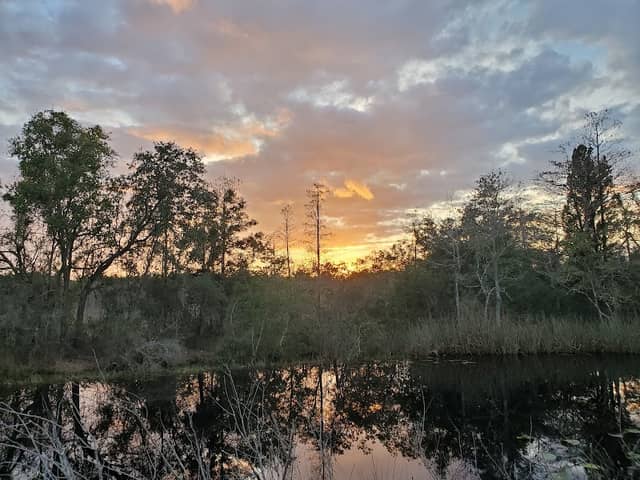 Arnold Brothers Park - Image 1
