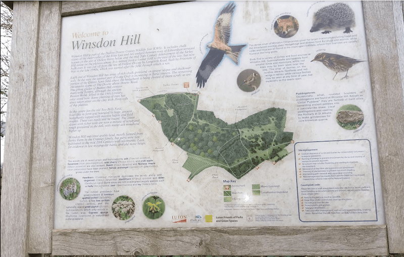 Winsdon Hill - Image 1