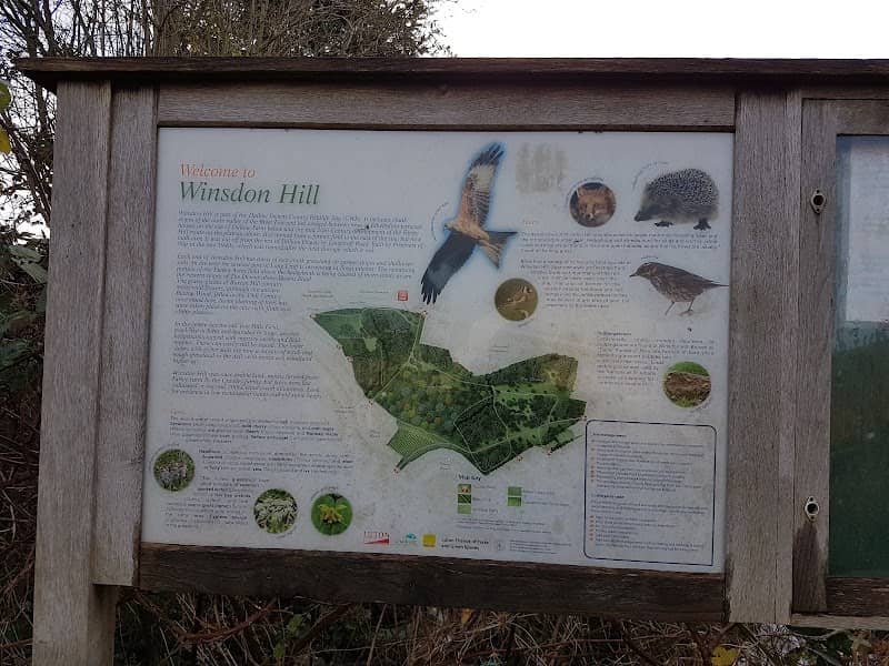 Winsdon Hill - Image 2