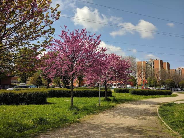 the Aldo Moro Sports Park - Image 2