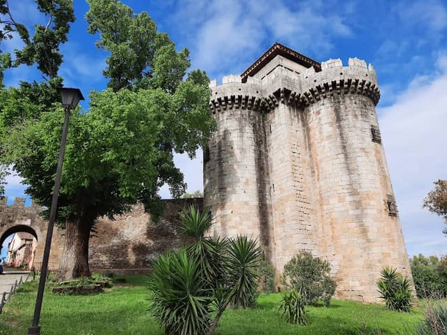 Olmo de Granadilla-Árbol singular de Extremadura - Image 1