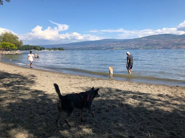 Gellatly Dog Beach - Image 1